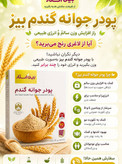 پودر جوانه گندم وین استار اورجینال